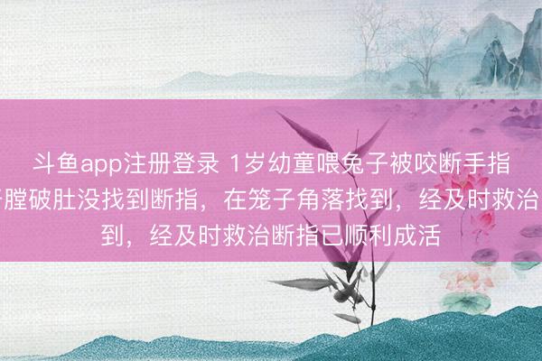 斗鱼app注册登录 1岁幼童喂兔子被咬断手指，家长把兔子开膛破肚没找到断指，在笼子角落找到，经及时救治断指已顺利成活