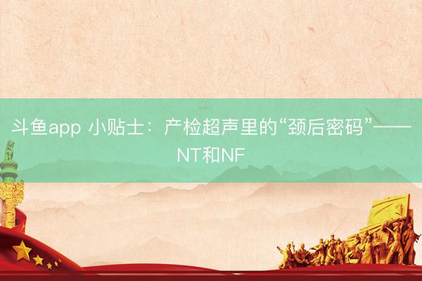 斗鱼app 小贴士：产检超声里的“颈后密码”——NT和NF