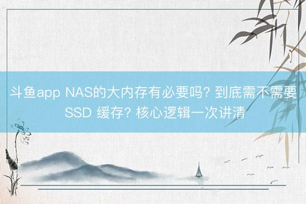 斗鱼app NAS的大内存有必要吗? 到底需不需要 SSD 缓存? 核心逻辑一次讲清