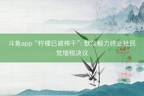 斗鱼app “柠檬已被榨干”: 默茨毅力终止社民党增税决议