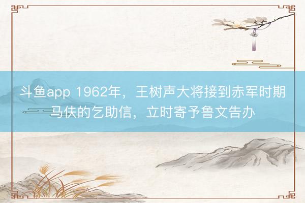 斗鱼app 1962年,王树声大将接到赤军时期马伕的乞助信,立时寄予鲁文告办