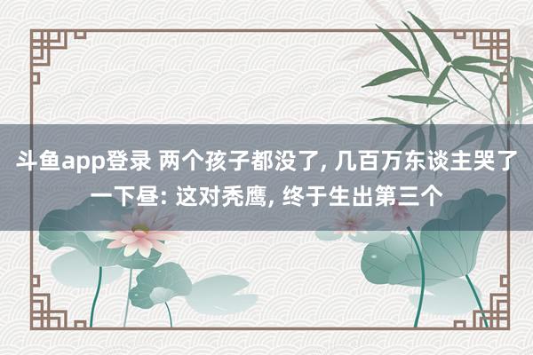 斗鱼app登录 两个孩子都没了， 几百万东谈主哭了一下昼: 这对秃鹰， 终于生出第三个