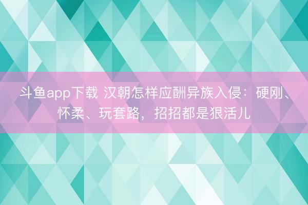 斗鱼app下载 汉朝怎样应酬异族入侵：硬刚、怀柔、玩套路，招招都是狠活儿