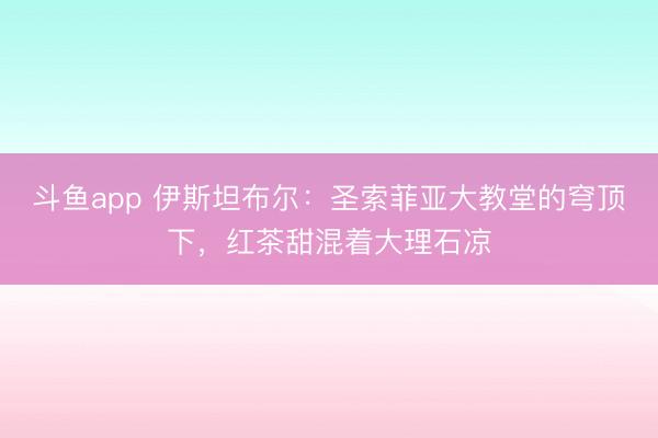 斗鱼app 伊斯坦布尔：圣索菲亚大教堂的穹顶下，红茶甜混着大理石凉
