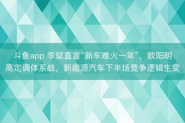 斗鱼app 李斌直言“新车难火一年”,欧阳明高定调体系战,新能源汽车下半场竞争逻辑生变