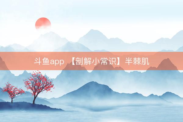 斗鱼app 【剖解小常识】半棘肌