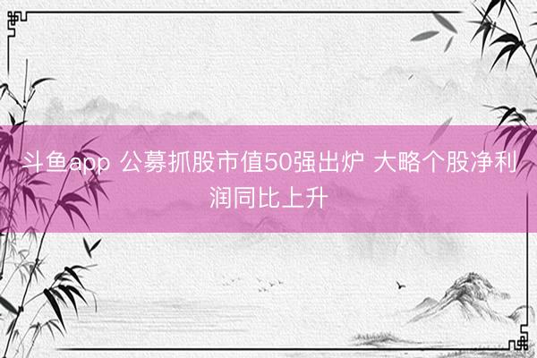 斗鱼app 公募抓股市值50强出炉 大略个股净利润同比上升