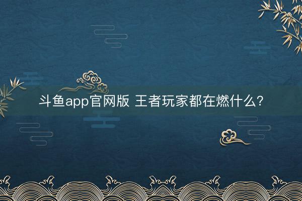 斗鱼app官网版 王者玩家都在燃什么？