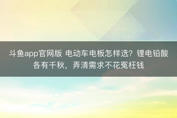 斗鱼app官网版 电动车电板怎样选？锂电铅酸各有千秋，弄清需求不花冤枉钱