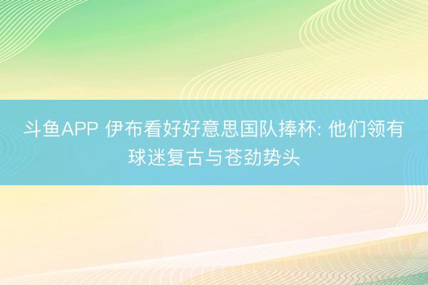 斗鱼APP 伊布看好好意思国队捧杯: 他们领有球迷复古与苍劲势头